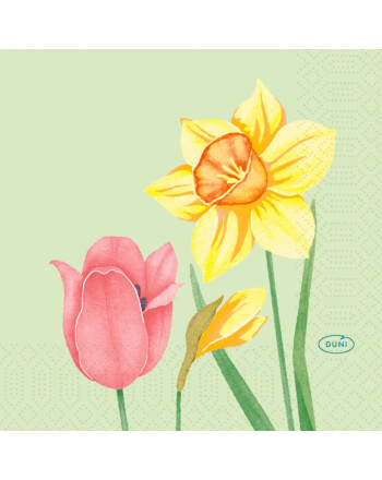 Duni Spring Melody χαρτοπετσέτα με σχέδιο 3φυλλη 1/4 24x24cm πολυτελείας 50τεμ