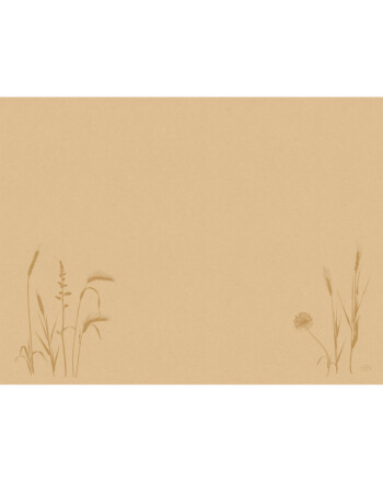 Duni Bio Dunicel® Meadow Natural σουπλά Airlaid με σχέδιο 30x40cm 100τεμ