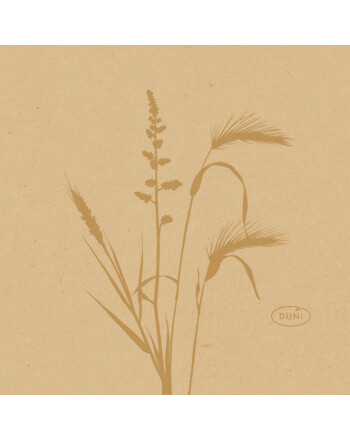 Duni Bio Dunisoft πετσέτα Meadow Natural 20x20cm 180τεμ.