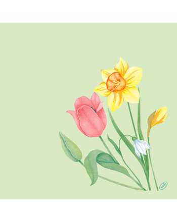 Duni Bio Dunisoft πετσέτα Spring Melody 40x40cm 60τεμ.