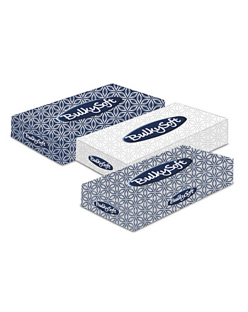 BulkySoft χαρτομάντιλα 2φυλλα 100τεμ