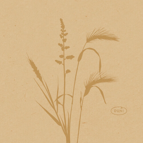 Duni Bio Dunisoft πετσέτα Meadow Natural 20x20cm 180τεμ.