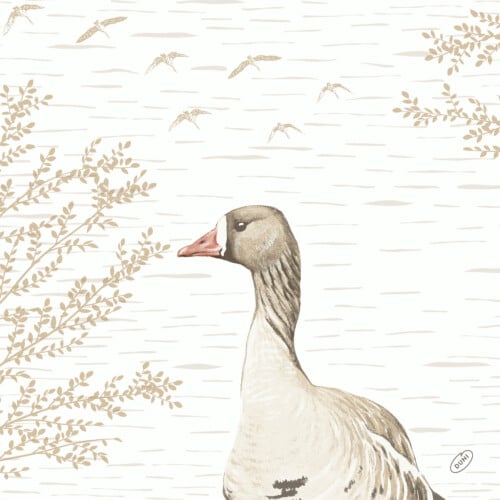 Duni Bio Dunisoft πετσέτα Wood & Goose 40x40cm 60τεμ.